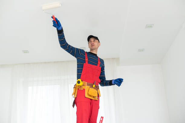 Mold Odor Removal Services in Big Pine, CA